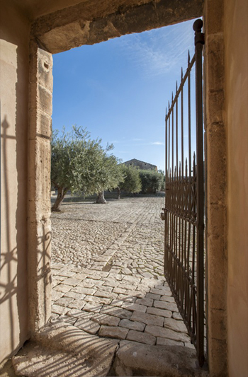 Villa Fegotto - cortile degli ulivi
